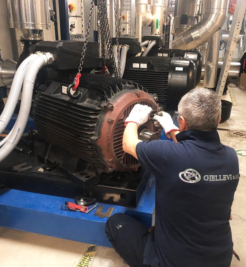 revisione pompe motori industriali giellevi